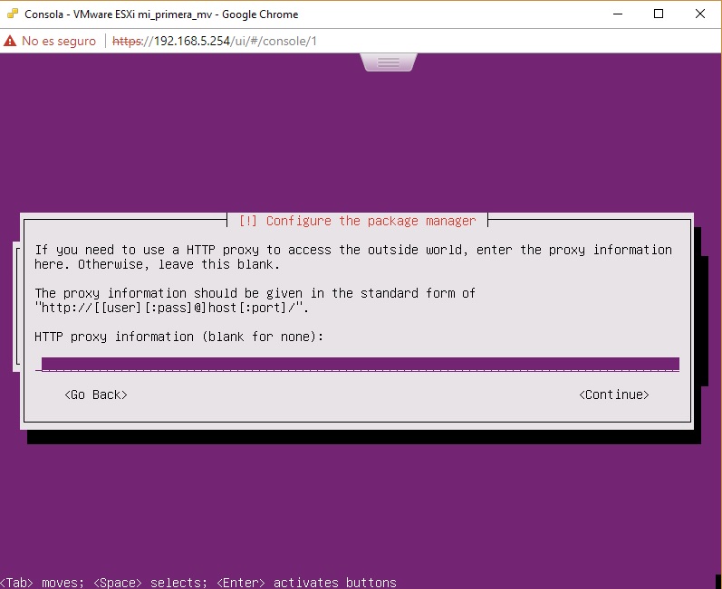 Configuración proxy para Ubuntu Server en VMWare